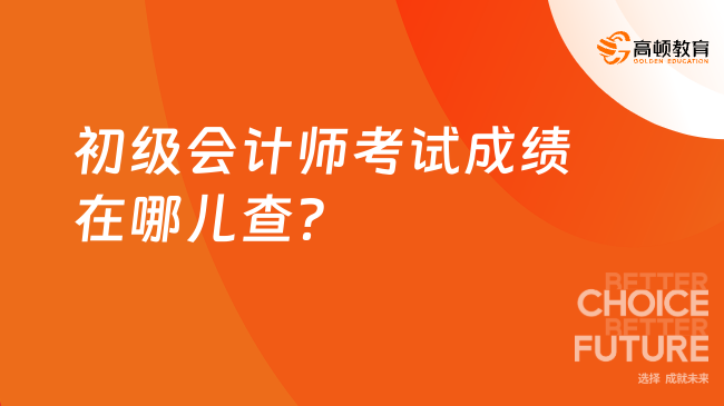 初级会计师考试成绩在哪儿查？
